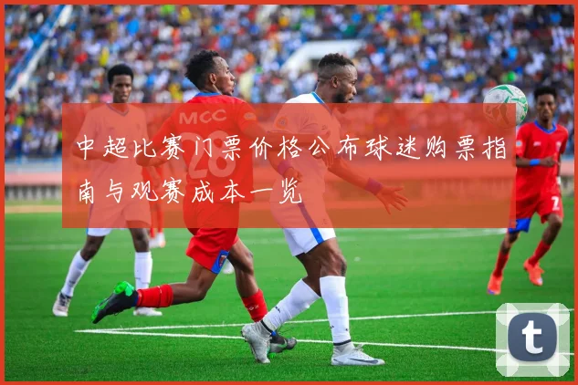 中超比赛门票价格公布球迷购票指南与观赛成本一览