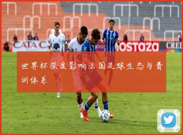 世界杯深度影响法国足球生态与青训体系
