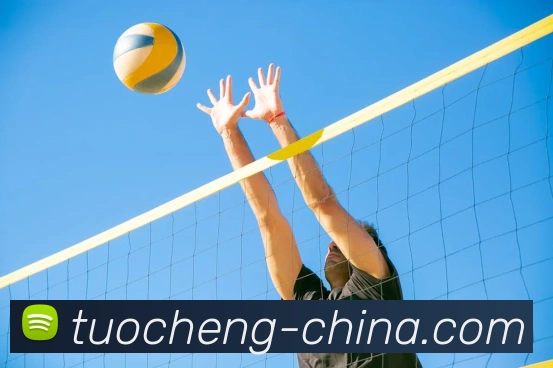 买球官方发展历程